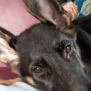 Meet your Posher, Cheryl